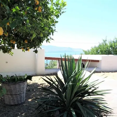 Casa Cavalluccio Marino - Terrazza Vista Mare